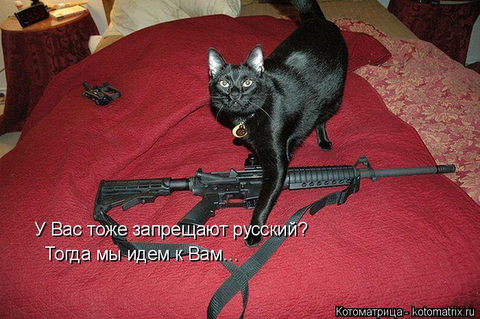 У Вас тоже запрещают русский? Тогда мы идем к Вам…... Котоматрица: У Вас тоже запрещают русский? Тогда мы идем к Вам…