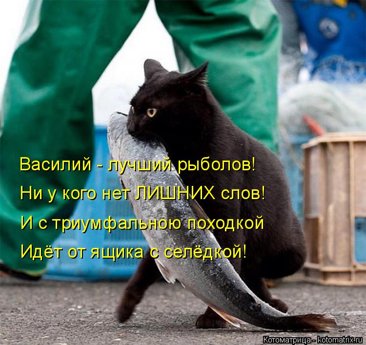 Котоматрица: Василий - лучший рыболов! Ни у кого нет ЛИШНИХ слов! И с триумфальною походкой Идёт от ящика с селёдкой!