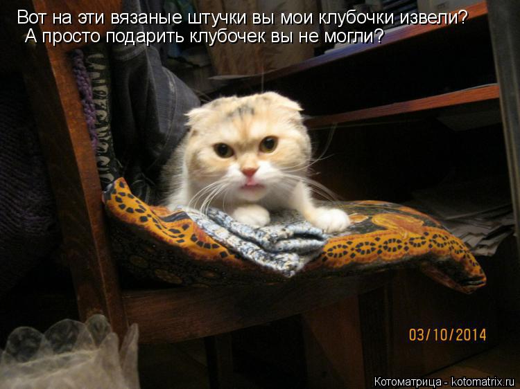 Котоматрица: Вот на эти вязаные штучки вы мои клубочки извели? А просто подарить клубочек вы не могли?