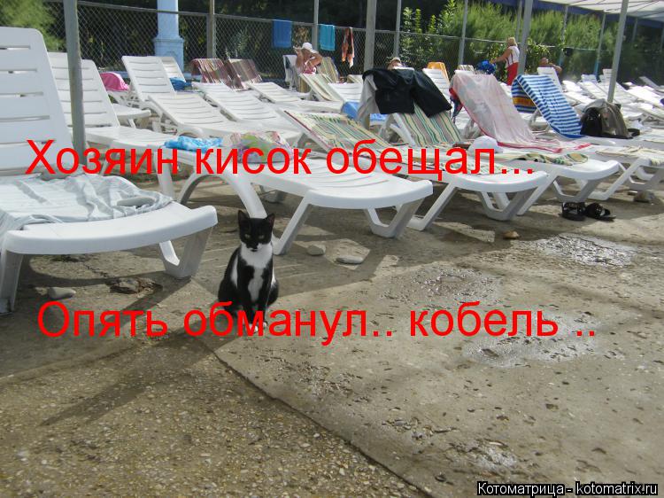 Хозяин кисок обещал... Опять обманул.. кобель ..... Котоматрица: Хозяин кисок обещал... Опять обманул.. кобель ..