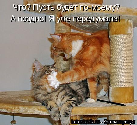 Котоматрица: Что? Пусть будет по-моему? А поздно! Я уже передумала!