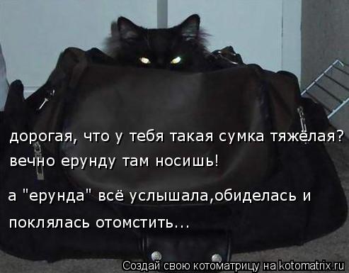 дорогая, что у тебя такая сумка тяжёлая? вечно ерунду там носишь! а "ерунда" всё услышала,обиделась и... Котоматрица: дорогая, что у тебя такая сумка тяжёлая? вечно ерунду там носишь! а "ерунда" всё услышала,обиделась и поклялась отомстить...