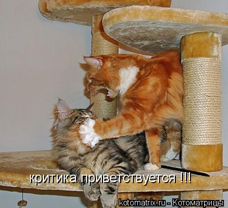 критика приветствуется !!!... Котоматрица: критика приветствуется !!!