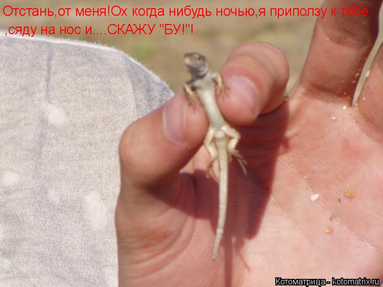 Котоматрица: Отстань,от меня!Ох когда нибудь ночью,я приползу к тебе ,сяду на нос и....СКАЖУ "БУ!"!