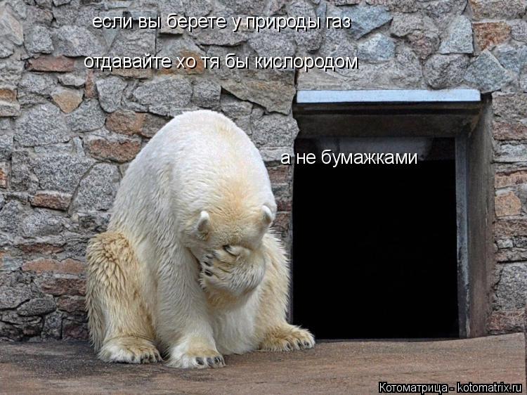 Котоматрица: если вы берете у природы газ отдавайте хо тя бы кислородом а не бумажками