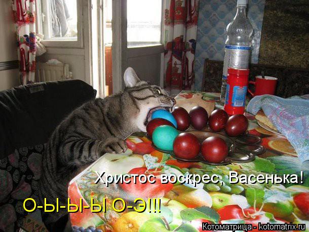 Котоматрица: Христос воскрес, Васенька! О-Ы-Ы-Ы О-Э!!!