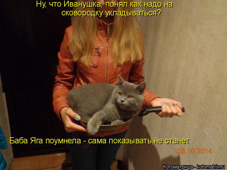 Ну, что Иванушка, понял как надо на сковородку укладываться? Баба Яга поумнела - сама показывать не ... Котоматрица: Ну, что Иванушка, понял как надо на сковородку укладываться? Баба Яга поумнела - сама показывать не станет.
