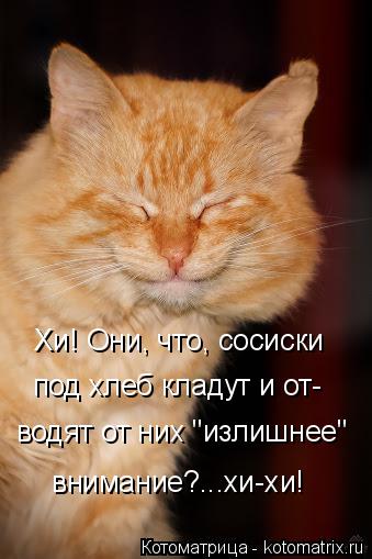 Котоматрица: Хи! Они, что, сосиски под хлеб кладут и от- водят от них "излишнее"  внимание?...хи-хи!