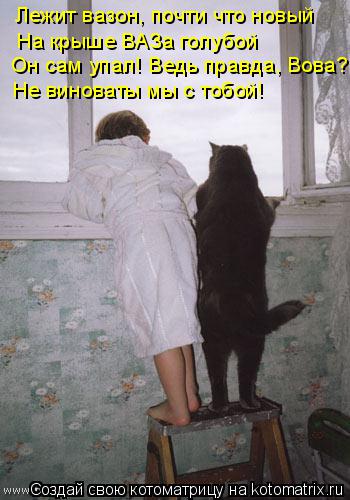 Котоматрица: Лежит вазон, почти что новый  На крыше ВАЗа голубой  Он сам упал! Ведь правда, Вова?  Не виноваты мы с тобой!