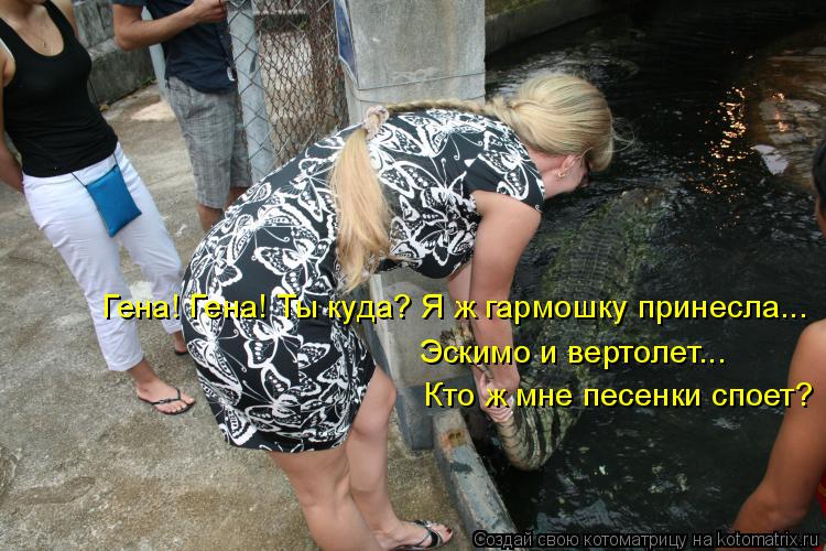 Гена! Гена! Ты куда? Я ж гармошку принесла... Эскимо и вертолет... Кто ж мне песенки споет?... Котоматрица: Гена! Гена! Ты куда? Я ж гармошку принесла... Эскимо и вертолет... Кто ж мне песенки споет?