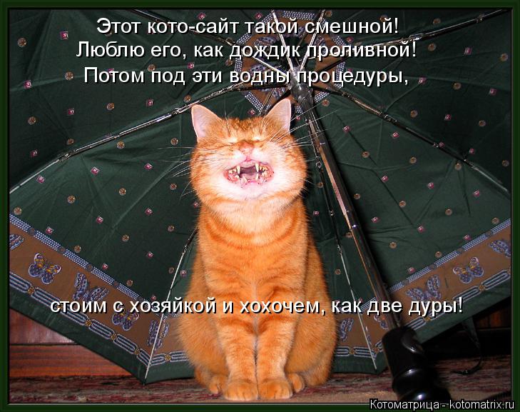Этот кото-сайт такой смешной! Люблю его, как дождик проливной! Потом под эти водны процедуры, стоим ... Котоматрица: Этот кото-сайт такой смешной! Люблю его, как дождик проливной! Потом под эти водны процедуры, стоим с хозяйкой и хохочем, как две дуры!