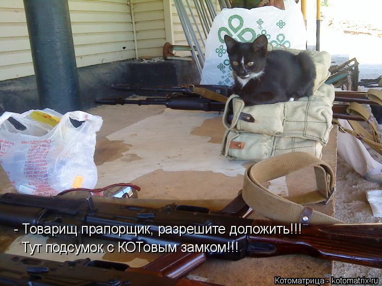 - Товарищ прапорщик, разрешите доложить!!! Тут подсумок с КОТовым замком!!!... Котоматрица: - Товарищ прапорщик, разрешите доложить!!! Тут подсумок с КОТовым замком!!!
