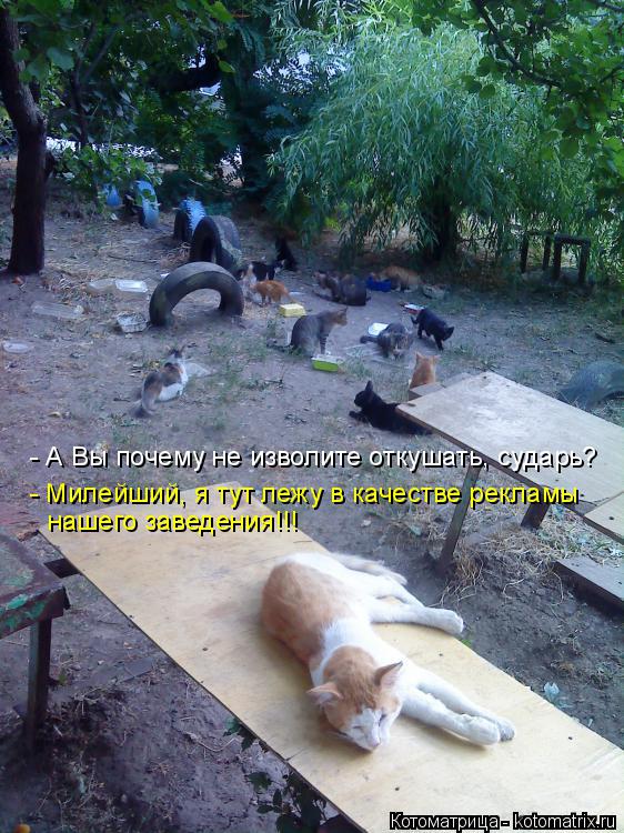 - А Вы почему не изволите откушать, сударь? - Милейший, я тут лежу в качестве рекламы нашего заведени... Котоматрица: - А Вы почему не изволите откушать, сударь? - Милейший, я тут лежу в качестве рекламы нашего заведения!!!