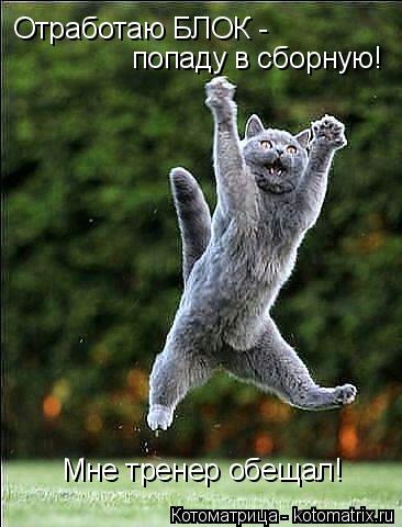 Котоматрица: Отработаю БЛОК -  попаду в сборную! Мне тренер обещал!