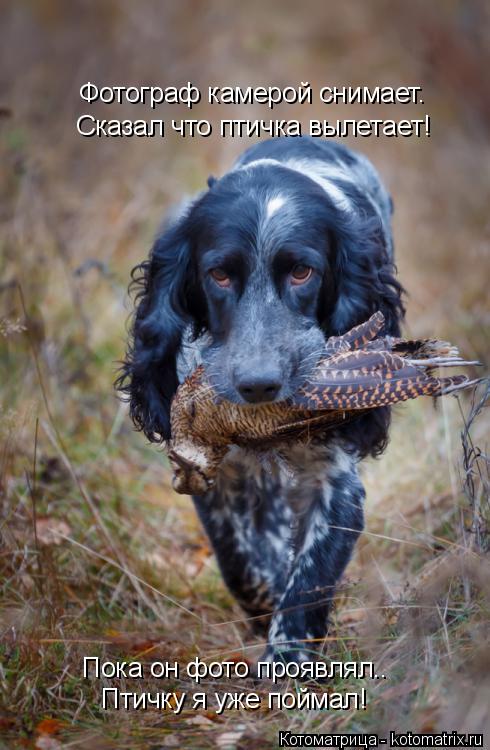 Котоматрица: Птичку я уже поймал! Пока он фото проявлял.. Сказал что птичка вылетает! Фотограф камерой снимает.