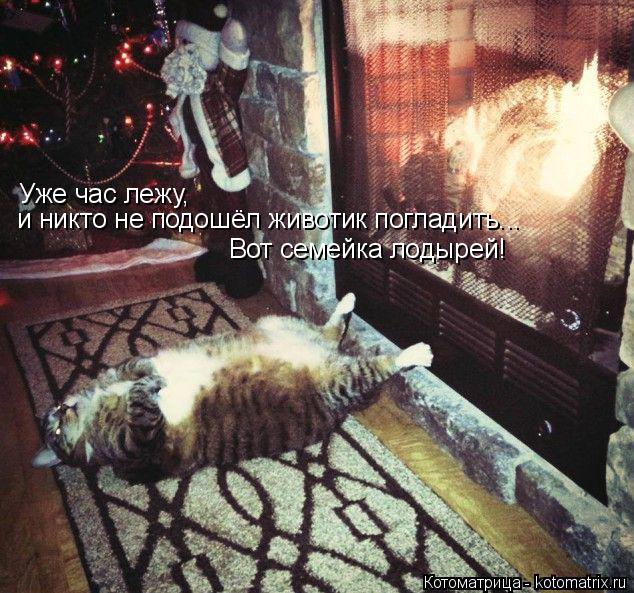 Уже час лежу, и никто не подошёл животик погладить... Вот семейка лодырей!... Котоматрица: Уже час лежу, и никто не подошёл животик погладить... Вот семейка лодырей!