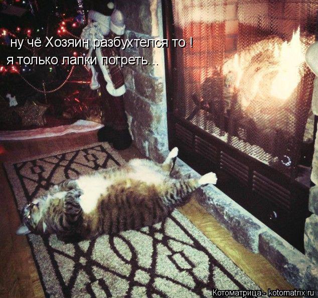 ну чё Хозяин разбухтелся то ! я только лапки погреть...... Котоматрица: ну чё Хозяин разбухтелся то ! я только лапки погреть...