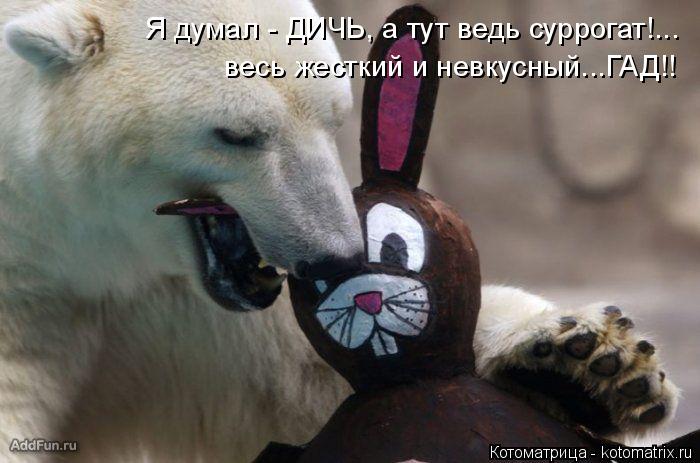 Котоматрица: Я думал - ДИЧЬ, а тут ведь суррогат!... весь жесткий и невкусный...ГАД!!