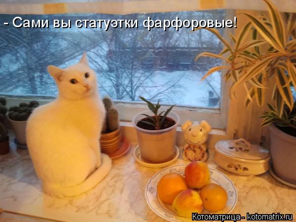 - Сами вы статуэтки фарфоровые!... Котоматрица: - Сами вы статуэтки фарфоровые!