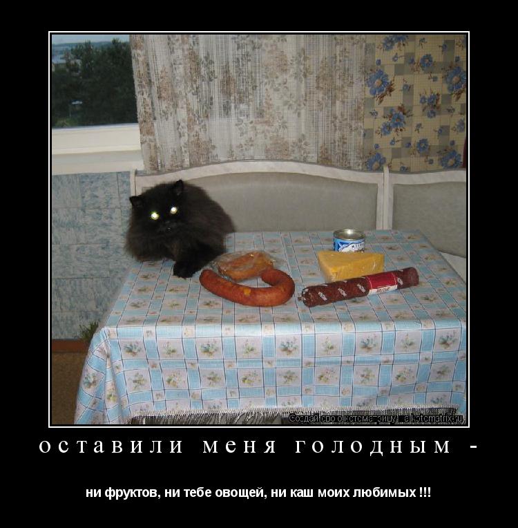 оставили меня голодным - ни фруктов, ни тебе овощей, ни каш моих любимых !!!... Котоматрица: оставили меня голодным - ни фруктов, ни тебе овощей, ни каш моих любимых !!!