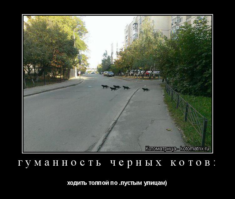 гуманность черных котов: ходить толпой по .пустым улицам)... Котоматрица: гуманность черных котов: ходить толпой по .пустым улицам)