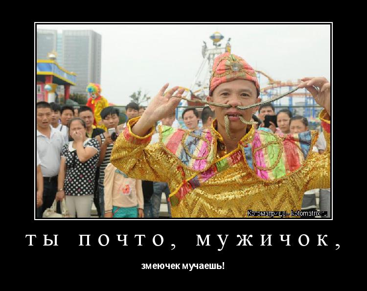 ты почто, мужичок, змеючек мучаешь!... Котоматрица: ты почто, мужичок, змеючек мучаешь!