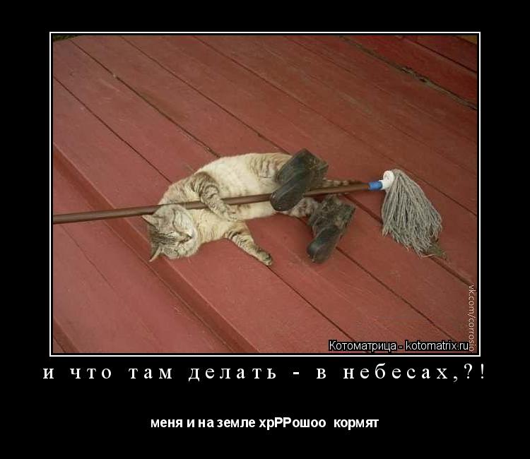и что там делать - в небесах,?! меня и на земле хрРРошоо кормят... Котоматрица: и что там делать - в небесах,?! меня и на земле хрРРошоо кормят