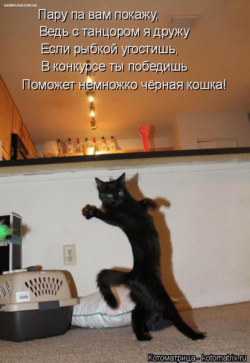 Котоматрица: Пару па вам покажу, Ведь с танцором я дружу Если рыбкой угостишь, В конкурсе ты победишь Поможет немножко чёрная кошка!