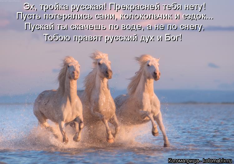 Котоматрица: Эх, тройка русская! Прекрасней тебя нету! Пусть потерялись сани, колокольчик и ездок... Пускай ты скачешь по воде, а не по снегу, Тобою правят 