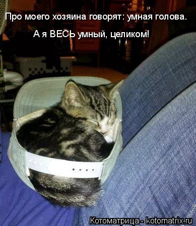 Про моего хозяина говорят: умная голова. А я ВЕСЬ умный, целиком!... Котоматрица: Про моего хозяина говорят: умная голова. А я ВЕСЬ умный, целиком!