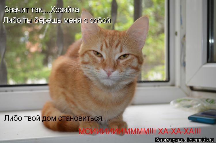 Значит так....Хозяйка Либо ты берешь меня с собой Либо твой дом становиться.... МОИИИИИИММММ!!! ХА-Х... Котоматрица: Значит так....Хозяйка Либо ты берешь меня с собой Либо твой дом становиться.... МОИИИИИИММММ!!! ХА-ХА-ХА!!!