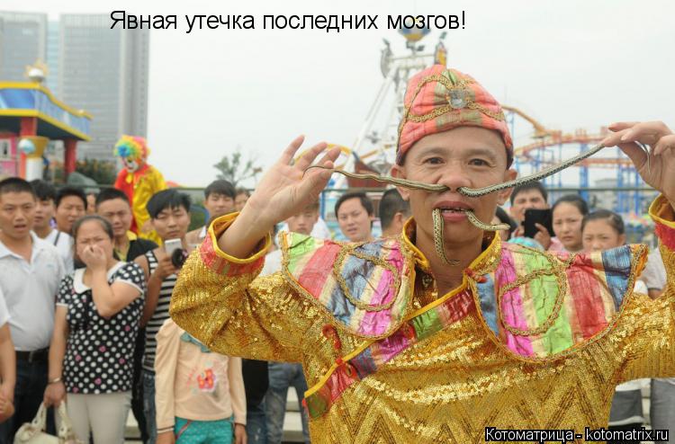 Явная утечка последних мозгов!... Котоматрица: Явная утечка последних мозгов!