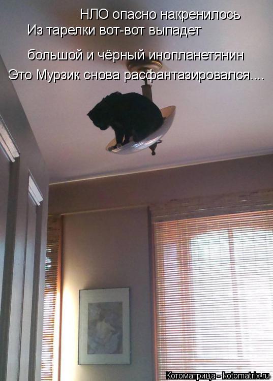 Котоматрица: НЛО опасно накренилось Из тарелки вот-вот выпадет большой и чёрный инопланетянин Это Мурзик снова расфантазировался....