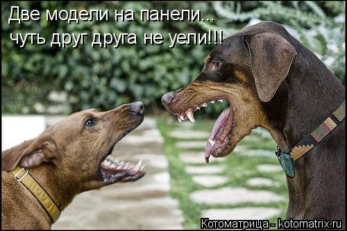 Две модели на панели... чуть друг друга не уели!!!... Котоматрица: Две модели на панели... чуть друг друга не уели!!!