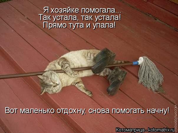 Я хозяйке помогала... Так устала, так устала! Прямо тута и упала! Вот маленько отдохну, снова помогат... Котоматрица: Я хозяйке помогала... Так устала, так устала! Прямо тута и упала! Вот маленько отдохну, снова помогать начну!
