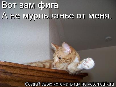 Вот вам фига А не мурлыканье от меня.... Котоматрица: Вот вам фига А не мурлыканье от меня.