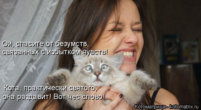 Ой, спасите от безумств, связанных с избытком чувств! Кота, практически святого, она раздавит! Вот че... Котоматрица: Ой, спасите от безумств, связанных с избытком чувств! Кота, практически святого, она раздавит! Вот чес слово!