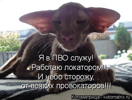 Работаю локатором!! Я в ПВО служу! И небо сторожу, от всяких провокаторов!!!... Котоматрица: Работаю локатором!! Я в ПВО служу! И небо сторожу, от всяких провокаторов!!!