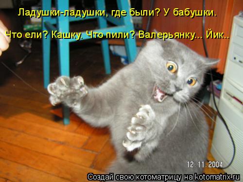 Ладушки-ладушки, где были? У бабушки. Что ели? Кашку. Что пили? Валерьянку... Йик..... Котоматрица: Ладушки-ладушки, где были? У бабушки. Что ели? Кашку. Что пили? Валерьянку... Йик..