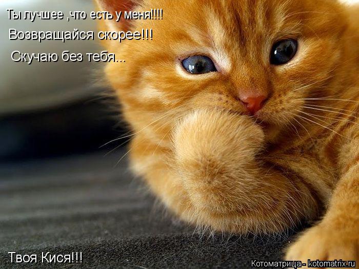 Ты лучшее ,что есть у меня!!!! Возвращайся скорее!!! Скучаю без тебя... Твоя Кися!!!... Котоматрица: Ты лучшее ,что есть у меня!!!! Возвращайся скорее!!! Скучаю без тебя... Твоя Кися!!!