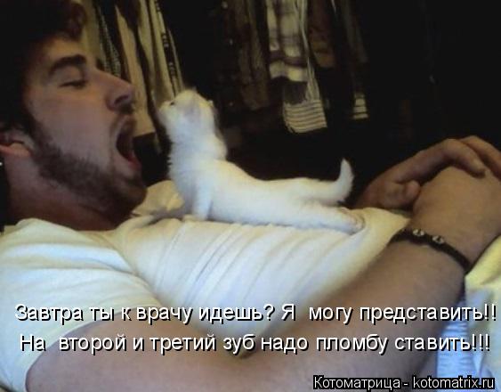 На второй и третий зуб надо пломбу ставить!!! Завтра ты к врачу идешь? Я могу представить!!... Котоматрица: На второй и третий зуб надо пломбу ставить!!! Завтра ты к врачу идешь? Я могу представить!!