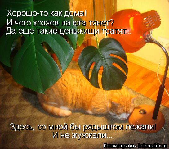 Хорошо-то как дома! И чего хозяев на юга тянет? Да еще такие деньжищи тратят... Здесь, со мной бы ряд... Котоматрица: Хорошо-то как дома! И чего хозяев на юга тянет? Да еще такие деньжищи тратят... Здесь, со мной бы рядышком лежали! И не жужжали...