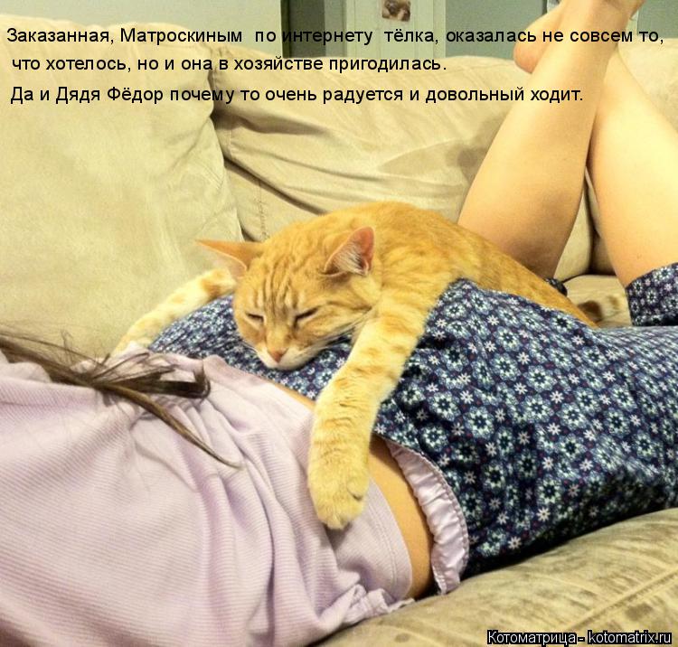 Котоматрица: Заказанная, Матроскиным  по интернету  тёлка, оказалась не совсем то, что хотелось, но и она в хозяйстве пригодилась. Да и Дядя Фёдор почему т