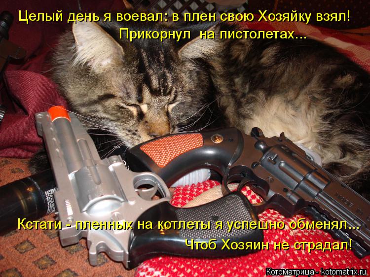 Целый день я воевал: в плен свою Хозяйку взял! Прикорнул на пистолетах... Кстати - пленных на котлет... Котоматрица: Целый день я воевал: в плен свою Хозяйку взял! Прикорнул на пистолетах... Кстати - пленных на котлеты я успешно обменял... Чтоб Хозяин не страд