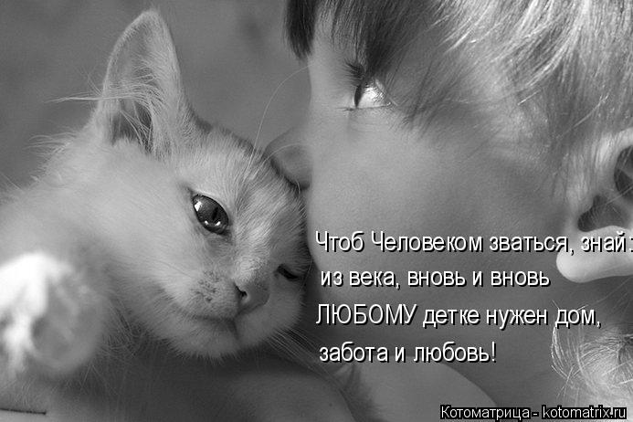 Чтоб Человеком зваться, знай: из века, вновь и вновь ЛЮБОМУ детке нужен дом, забота и любовь!... Котоматрица: Чтоб Человеком зваться, знай: из века, вновь и вновь ЛЮБОМУ детке нужен дом, забота и любовь!