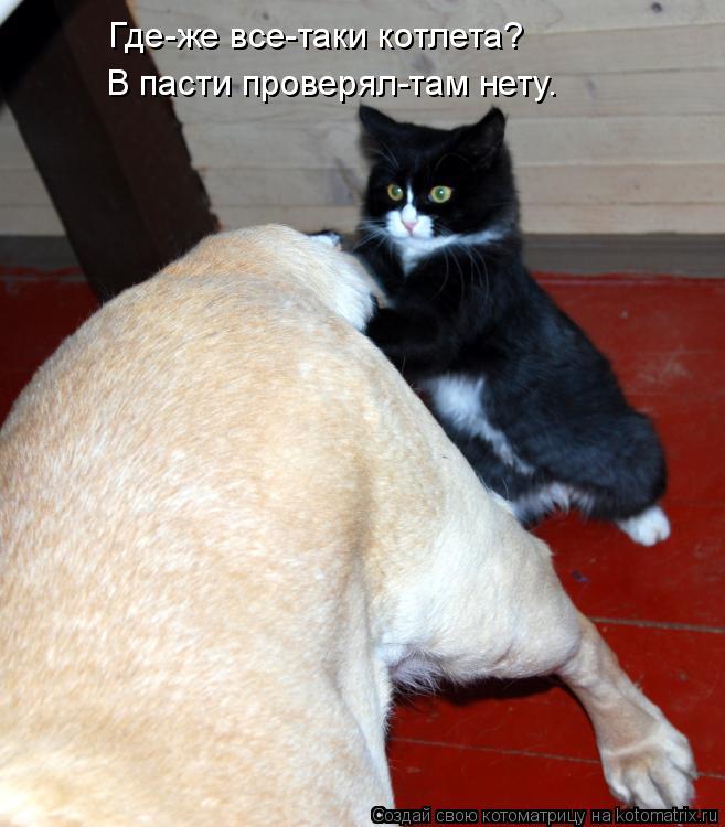 Котоматрица: Где-же все-таки котлета? В пасти проверял-там нету.