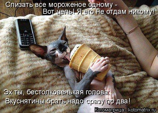 Слизать все мороженое одному - Вот цель! Я его не отдам никому! Эх ты, бестолковенькая голова: Вкусн... Котоматрица: Слизать все мороженое одному - Вот цель! Я его не отдам никому! Эх ты, бестолковенькая голова: Вкуснятины брать надо сразу по два!