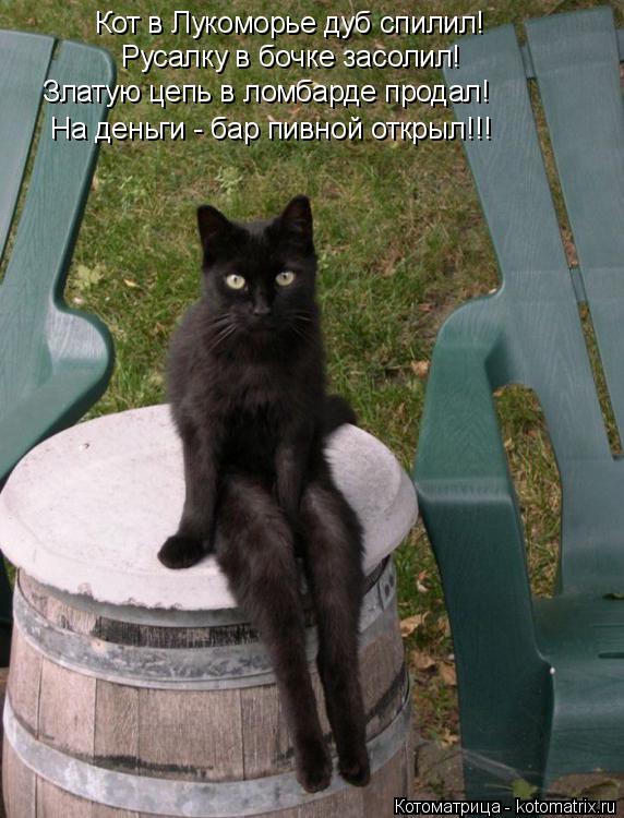 Кот в Лукоморье дуб спилил! Русалку в бочке засолил! Златую цепь в ломбарде продал! На деньги - бар п... Котоматрица: Кот в Лукоморье дуб спилил! Русалку в бочке засолил! Златую цепь в ломбарде продал! На деньги - бар пивной открыл!!!