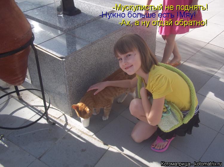 -Нужно больше есть !Мяу! -Мускулистый не поднять! -Ах, а ну отдай обратно!... Котоматрица: -Нужно больше есть !Мяу! -Мускулистый не поднять! -Ах, а ну отдай обратно!