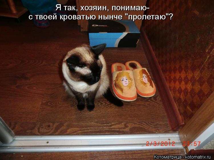 Котоматрица: Я так, хозяин, понимаю- с твоей кроватью нынче "пролетаю"?